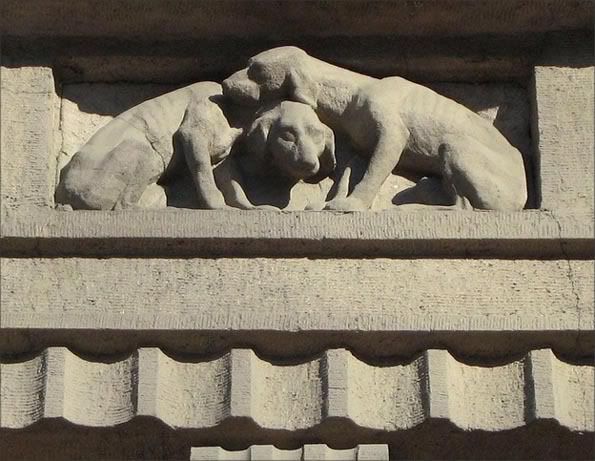 собаченции