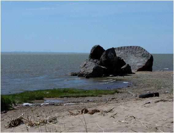 Залив. Лахта