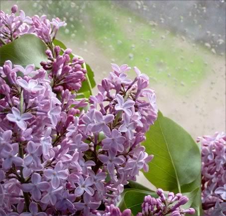 Лето будет, его не может не быть!