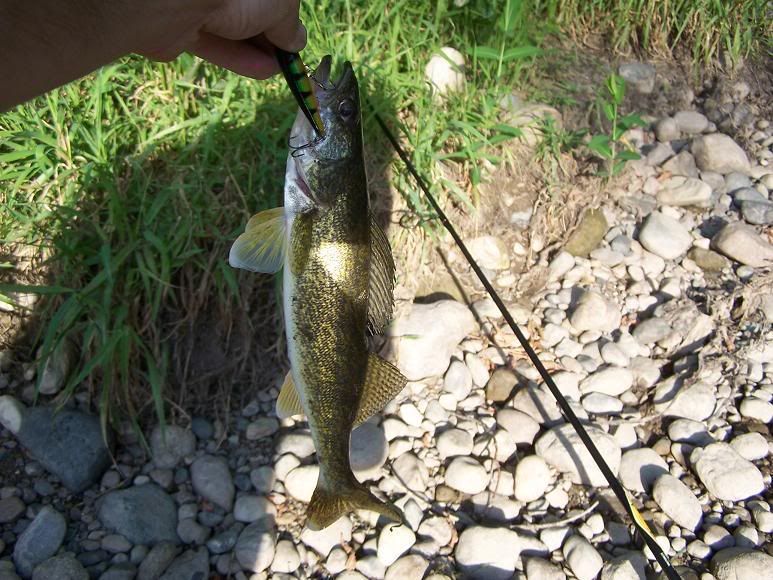 bassfishing016.jpg
