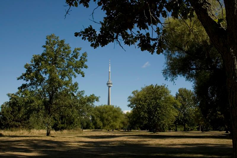 IMAGE: http://img.photobucket.com/albums/v235/crazy_flyer8/_MG_0599.jpg