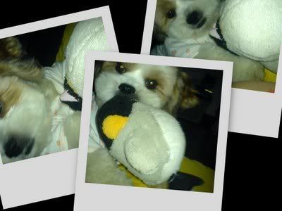 Photo Sharing and Video Hosting at Photobucket