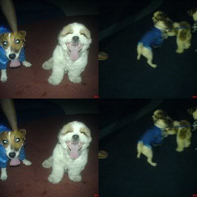 Photo Sharing and Video Hosting at Photobucket