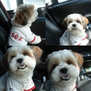 Photo Sharing and Video Hosting at Photobucket