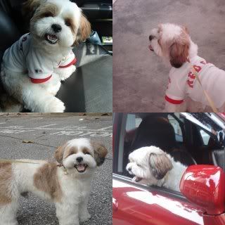 Photo Sharing and Video Hosting at Photobucket