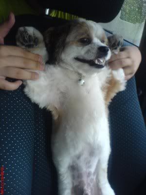 Photo Sharing and Video Hosting at Photobucket