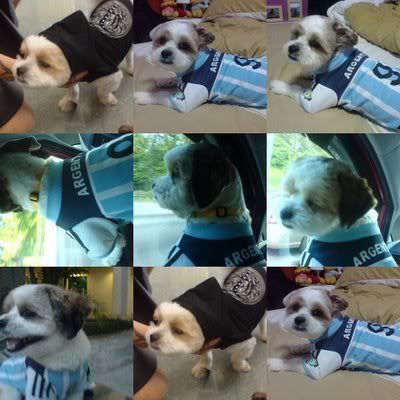 Photo Sharing and Video Hosting at Photobucket