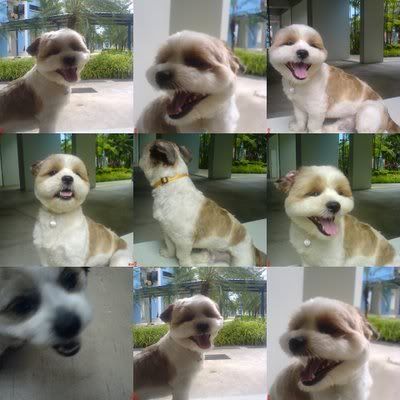 Photo Sharing and Video Hosting at Photobucket