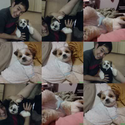 Photo Sharing and Video Hosting at Photobucket