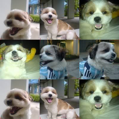 Photo Sharing and Video Hosting at Photobucket