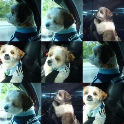 Photo Sharing and Video Hosting at Photobucket