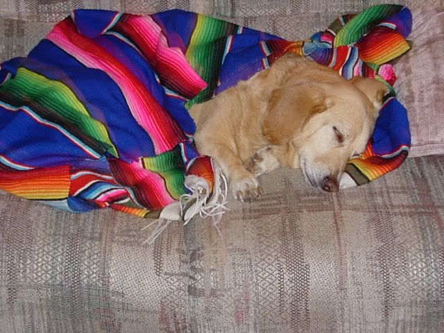 DSCN1036.jpg