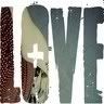 love + Pictures, Images and Photos
