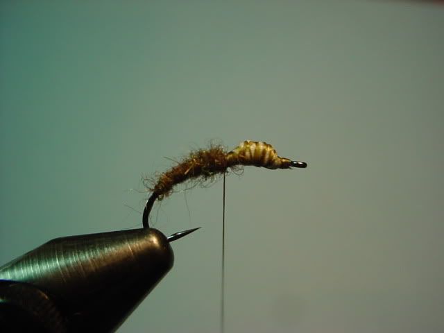 Bwo Emerger Pattern