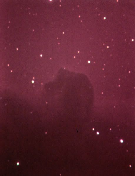 http://img.photobucket.com/albums/v236/PaulRix/Astronomy/horseheaddsipro.jpg