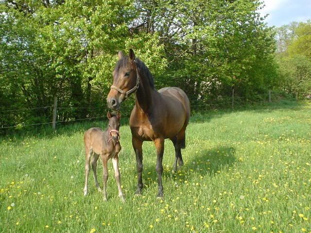 Myser_med_mamma.jpg