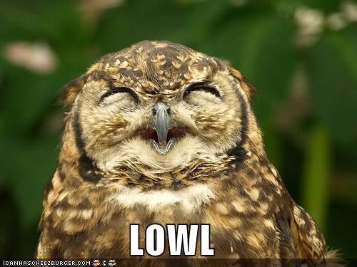 funny owl. Who I#39;d like to meet: