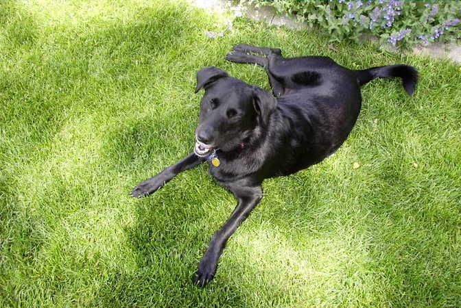 Image hosted by Photobucket.com