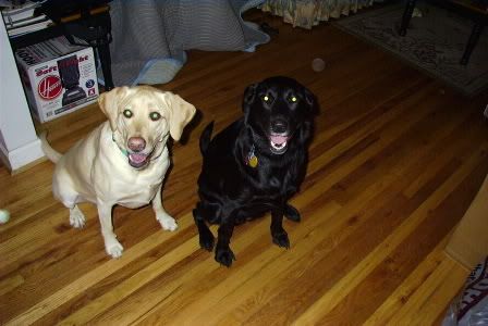 Image hosted by Photobucket.com