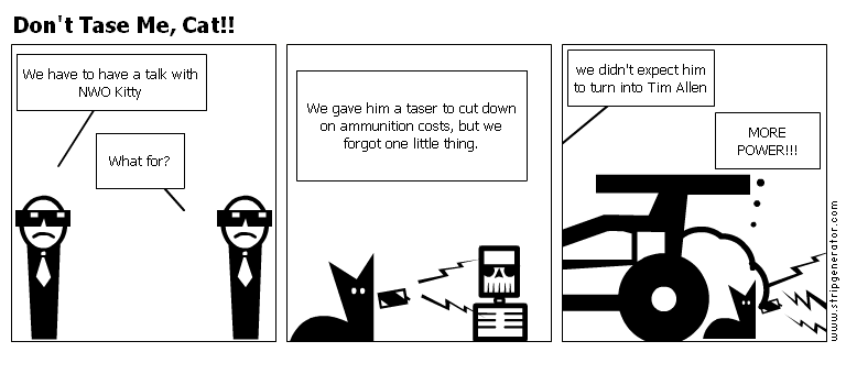 dont-tase-me-cat.png