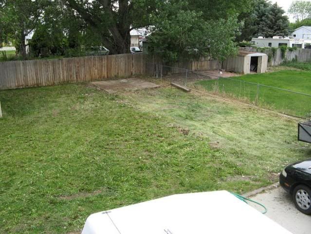 backyard.jpg