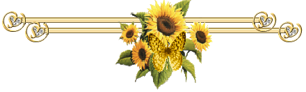 sunflowerdivider-1.gif