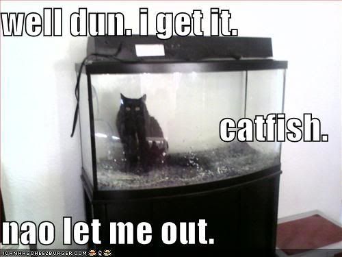 catfish.jpg