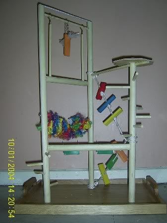 playgym.jpg