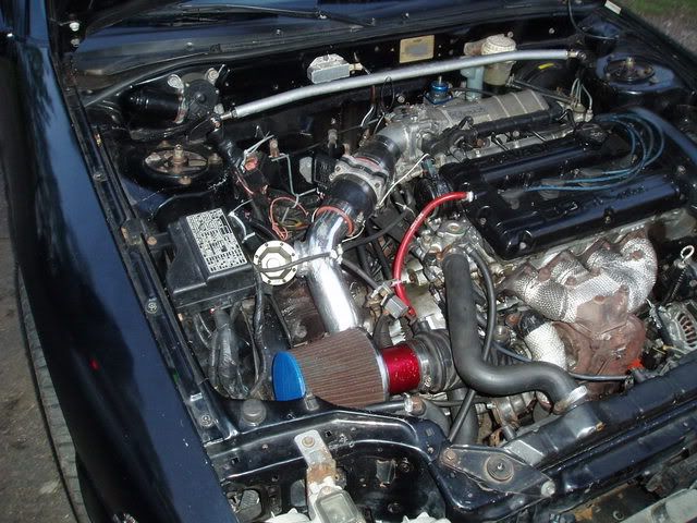 http://img.photobucket.com/albums/v237/thebandbushfan/P4240002.jpg