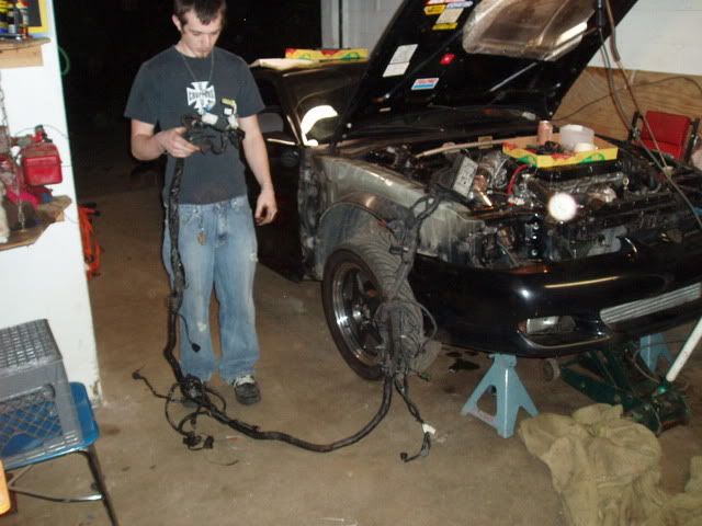 http://img.photobucket.com/albums/v237/thebandbushfan/P4240006.jpg