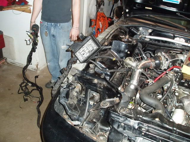 http://img.photobucket.com/albums/v237/thebandbushfan/P4240007.jpg