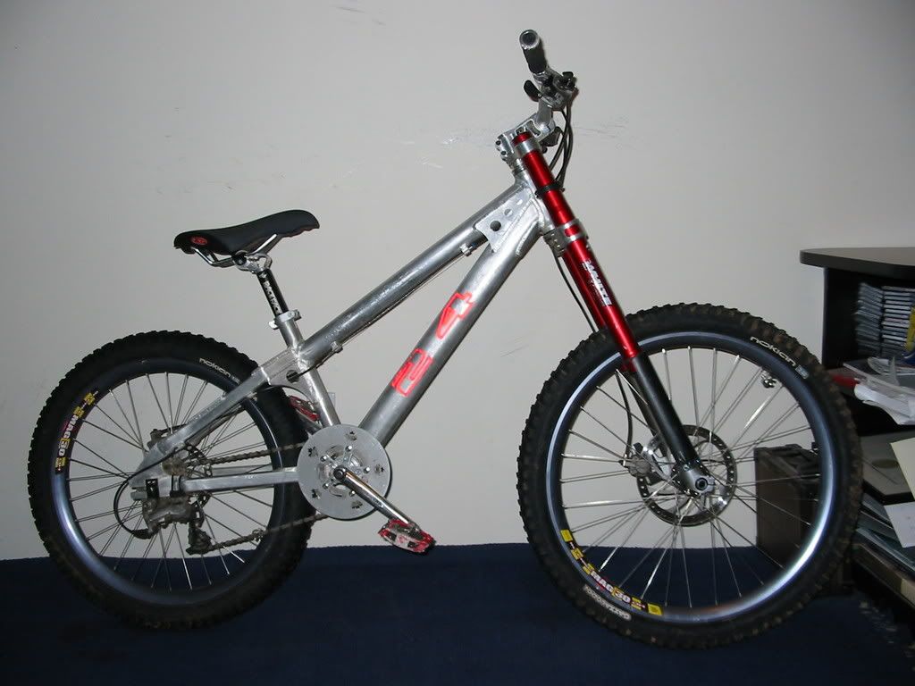 dual crown hardtail