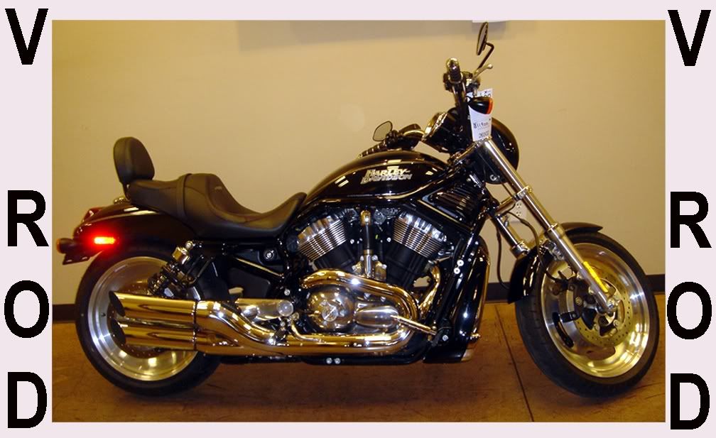 2006 Harley Davidson Night Rod Harley Davidson Night Rod Custom. 2006 Harley Davidson Night Rod