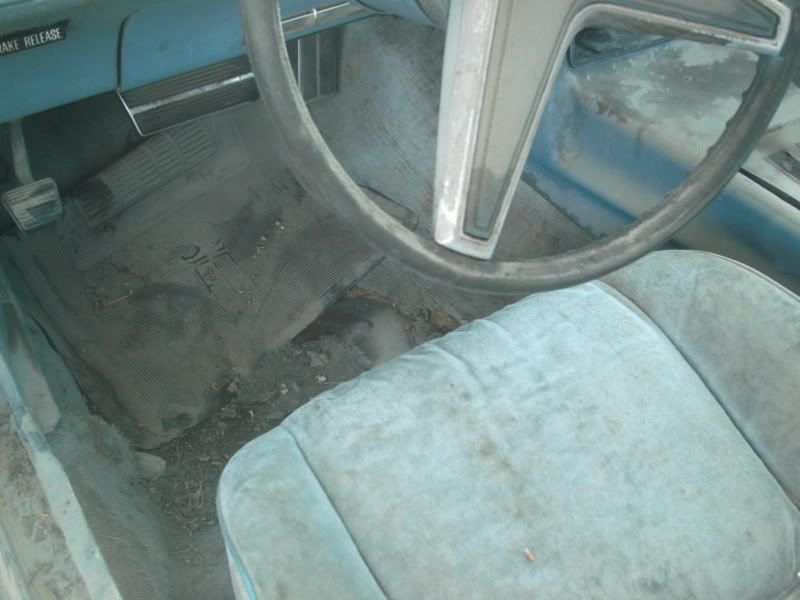 birdinterior.jpg