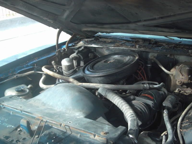 engineshot.jpg