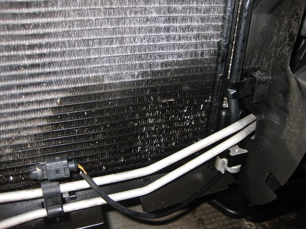 NEED HELP. I have a hole in my radiator... UPDATES/PICTURES