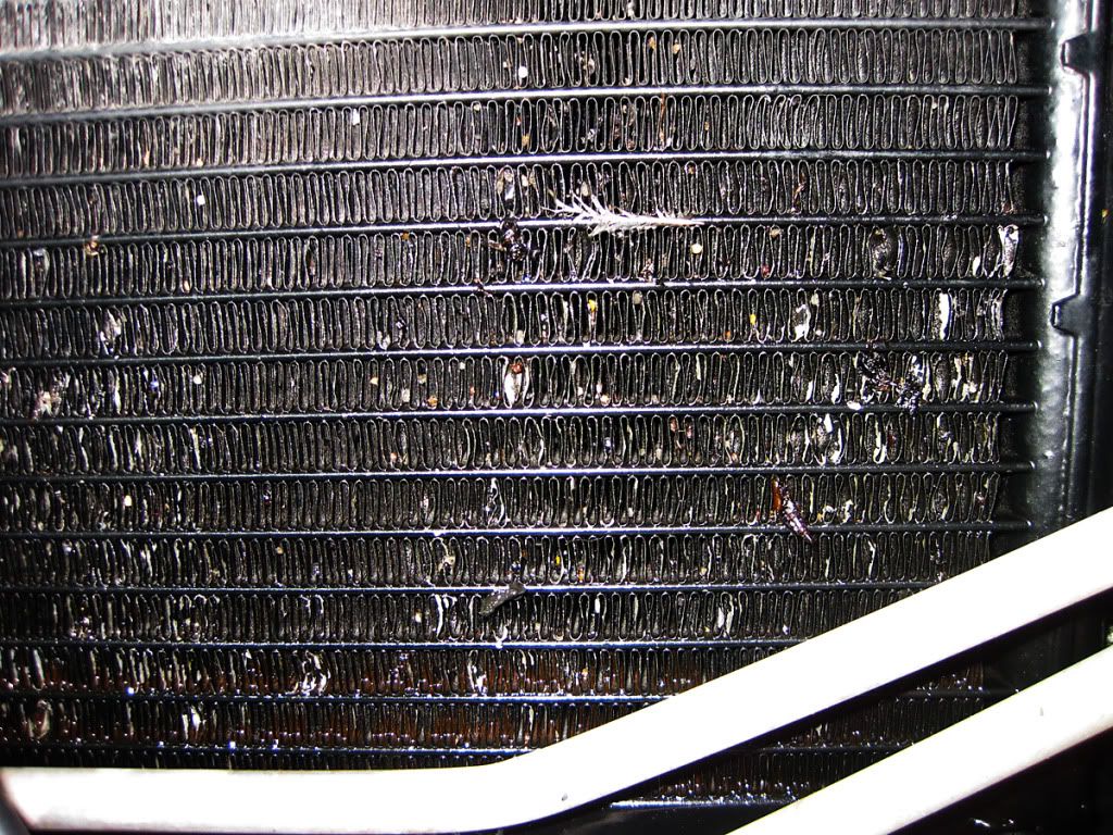 NEED HELP. I have a hole in my radiator... UPDATES/PICTURES