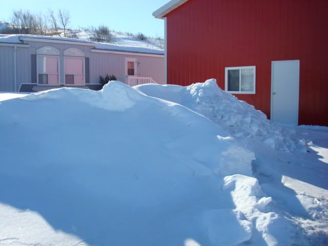 DSC00627.jpg