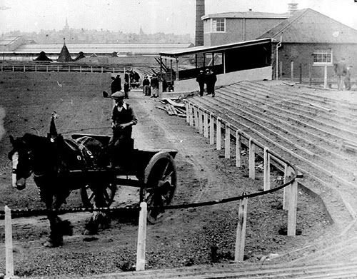 Camelon Juniors