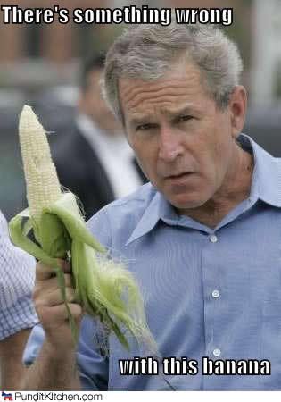 political-pictures-george-bush-some.jpg
