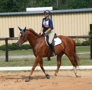 Big Horse, Little Arena