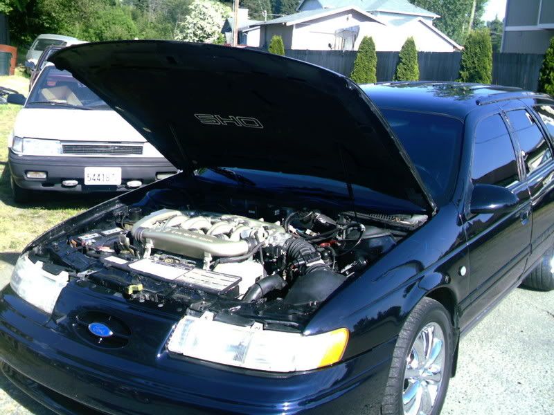 Rockyscarpics004.jpg