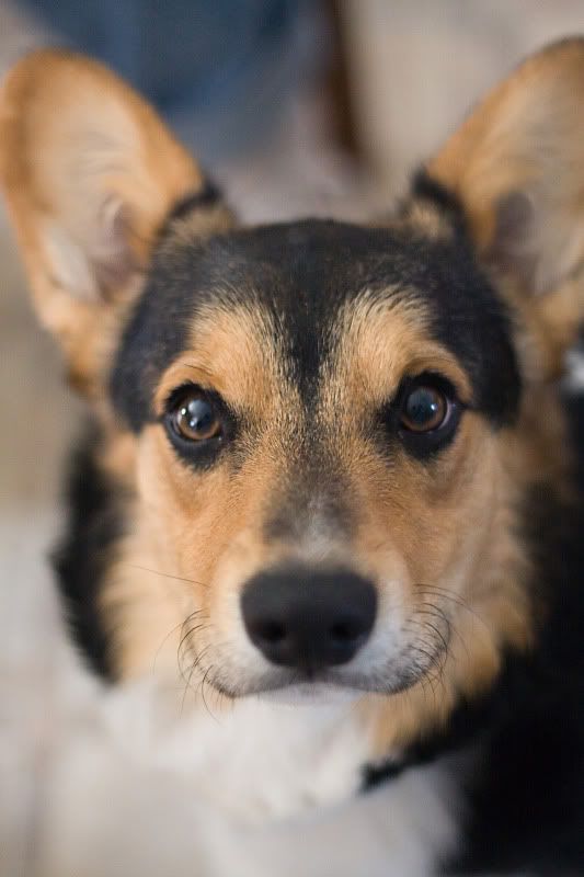 IMAGE: http://img.photobucket.com/albums/v240/Novallee/HiMom1.jpg