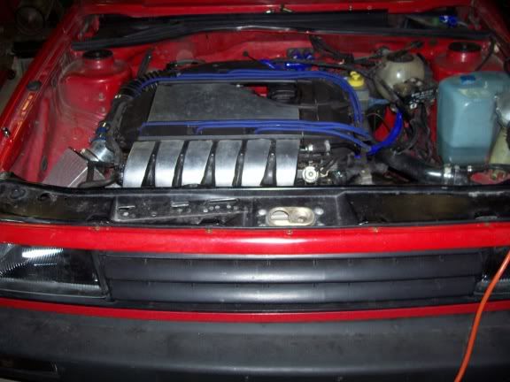 http://img.photobucket.com/albums/v240/Shriver87/100_0165.jpg