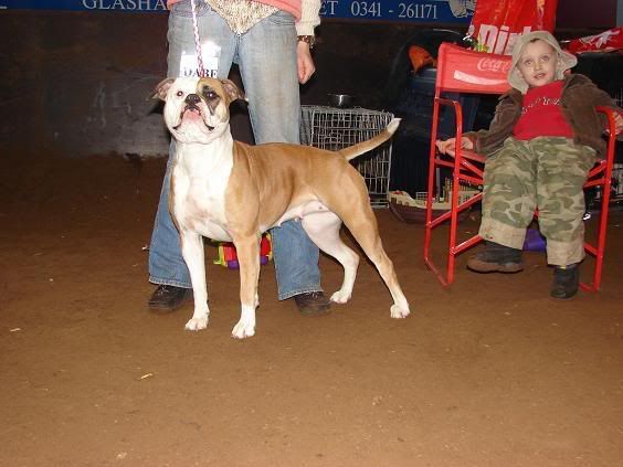 [img width=564 height=423]http://img.photobucket.com/albums/v240/bullbass/allbulldogsaintsalbum/Medussa.jpg[/img]