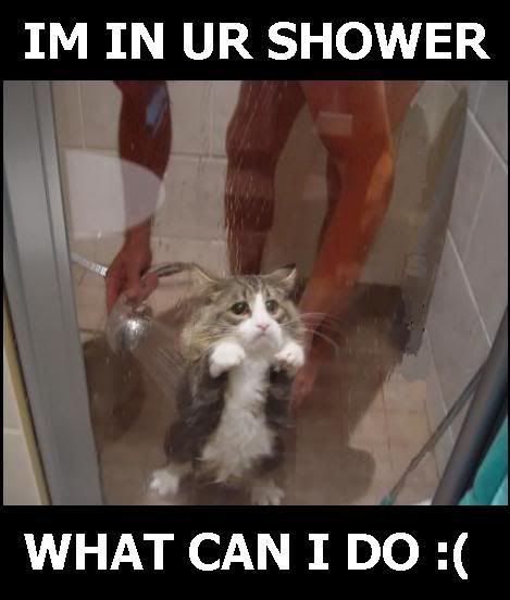 [Image: shower.jpg]
