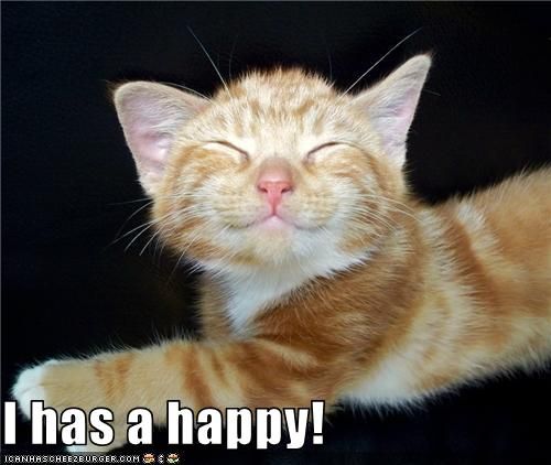 lolcat_happy.jpg