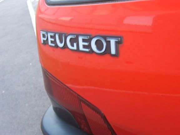 pug6.jpg