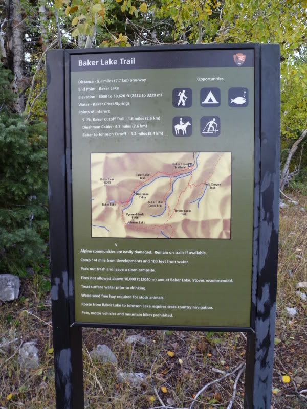 P1030451.jpg