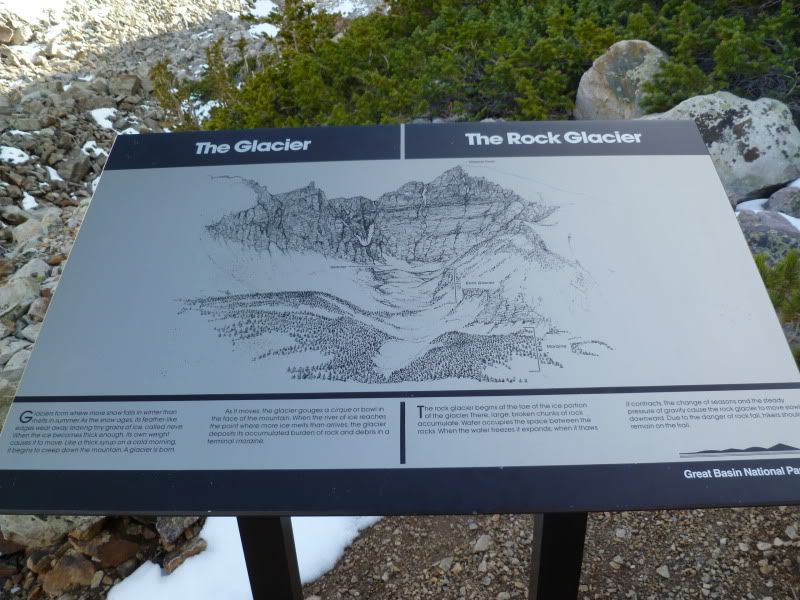 P1030627.jpg
